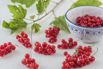 Red currants on a white wooden table and in a blue and white decorated porcelain bowl, decorated with currants branches