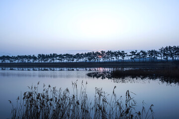 Naklejka premium The beautiful landscape of tree line silhouette and reflection on the water in sun risetime.