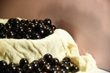 Jabuticaba (Myrciaria cauliflora) fruits clustered on top of a burlap cloth on a light background