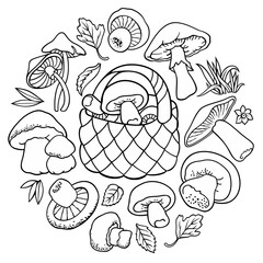 Mushrooms nature cartoon outline illustration