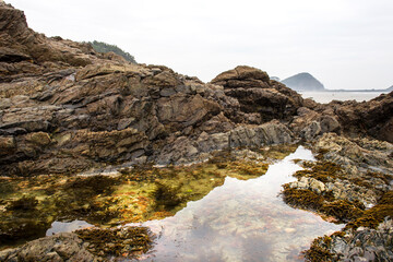 Fototapeta na wymiar Beautiful green seaweed algae mossy background sand wave,island and blue sky.