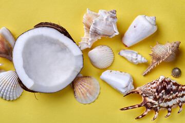 Pile of various seashells and cracked coconut. Isolated on yellow background.