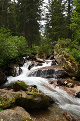 ascata rapide torrente acqua gocce acqua acqua vita montagna sorgente poster natura acqua cascata 