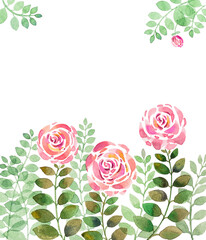 Three roses with green leaves on a white background, watercolor hand made