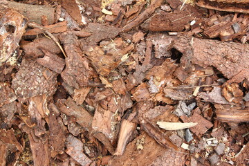Garden decorations - scattered tree bark on the ground 