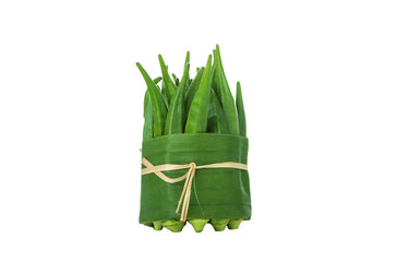 Bunch of fresh organic Okra vegetables on isolated white background 