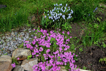 An amazing photo collage- scattering stones, flowers, grass and ground.