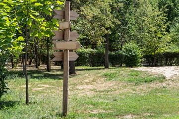 Wooden signpost in the park.