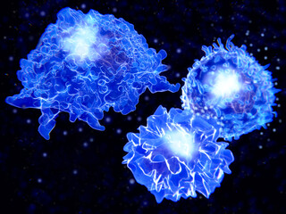 Immune cells: macrophage, T-cell and APC