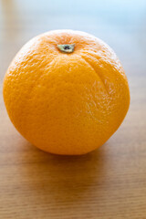 ネーブルオレンジ