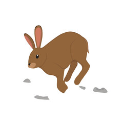 Hare Illustration