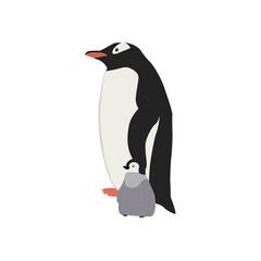 Penguin Illustration