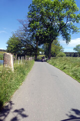 Straße zwischen Altengesees und Lothra