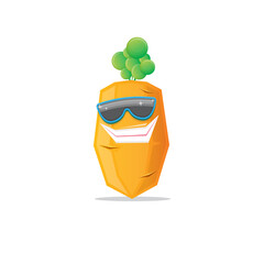 vector funny cartoon carrot character with sunglasses isolated on white background. funky smiling summer vegetable character