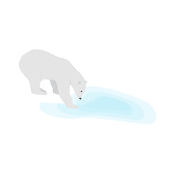 Polar Bear Illustration