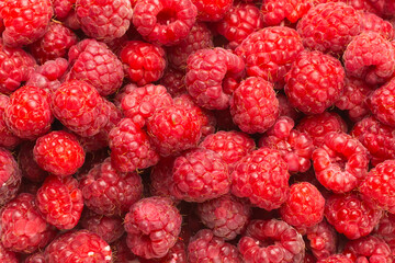 Tasty red raspberry background.