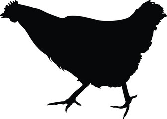 silhouette of a hen