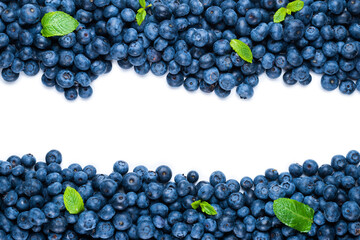 Fresh blueberry and mint isolated on white background.