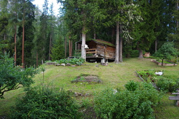 Obraz premium Nature landscape