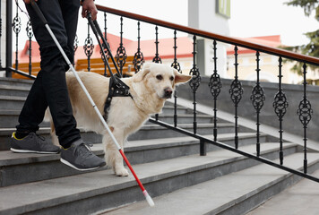 20-25 years old eyeless man with guide dog in city streets, walk in city streets, help, assist blind people