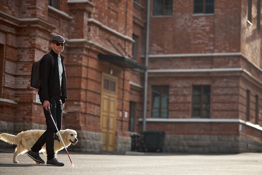 Guide Dog Golden Retriever Helping Young Blind Person With Long Cane Walking In City. Smart Animal Take Care Of Owner, Love Him, Dog Is Best Friend