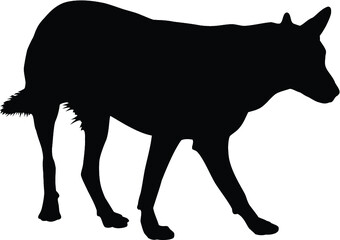 Vector silhouette of an dog on white background