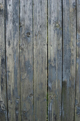 old wood background