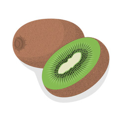 Fresh ripe kiwi fruit on a white background. Tasty sweet fruit icon. Isolated dessert close up. Can be used as emblem, logo, web print, sticker. Vector illustration.