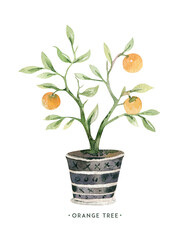 Watercolor hand painted house potted houseplant. green plants in flower pots. Set of floral elements isolated on white. Decorative greenery collection poster, card and scrapbooking design