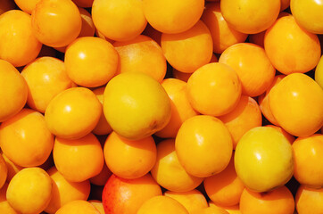 Juicy ripe yellow cherry plums on the counter, background texture