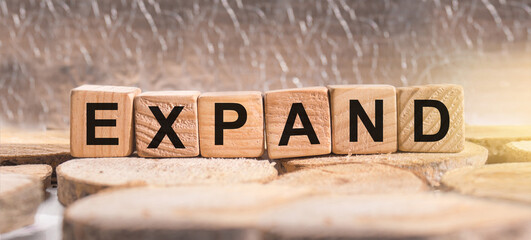 Wooden blocks with the word Expand. Business and finance concept.