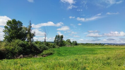 Fototapeta na wymiar blue cloudy sky over a lush green field on a sunny day