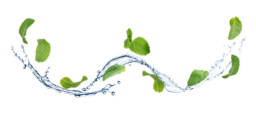 Set of flying green mint leaves with splash of water on white background. Banner design © New Africa