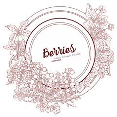 Berries and fruits hand drawn doodles illustration