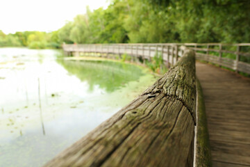 Perspective on a wooden bridge by a lake in summer. Selective focus, deliberately blurred background.	