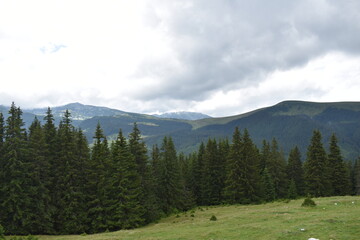 mountain landscape with trees and clouds
