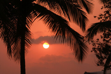 Colorful sunset at Goa Beach behind Palm tree