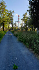 Road in the forest with red and white transmitter tower