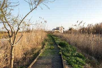Tancat de la Pipa Albufera Valencia, touristic ride. old rice field converted into a natural reserve area. ecosystem of native species