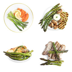 Set of different delicious meals with asparagus on white background