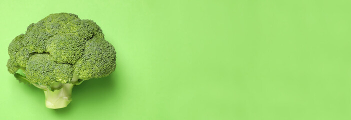Top view of fresh broccoli on green background, space for text. Banner design
