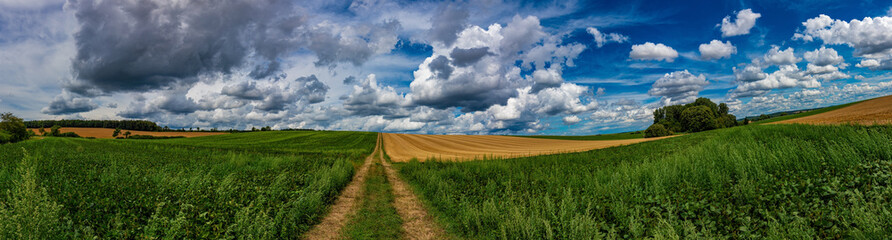 Fototapeta na wymiar An ultra wide angle image of several green and yellow fields, blue sky and beautiful white clouds