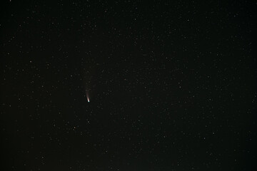 Comet Neowise C2020F3 In Night Starry Sky. Natural Night Sky Background