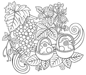Grapes, blackberries, sweets doodles illustration