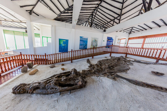 Villa De Leyva, Colombia - February 7, 2017 : Museo Del Fosil dinosaur fossil Museum near Villa de Leyva Boyaca in Colombia South America