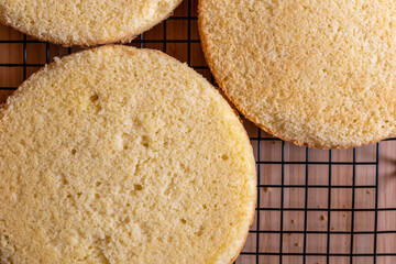 sandwich cake sponges cooling on a rack 