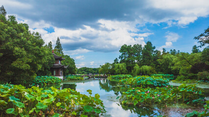Fototapeta na wymiar Landscape in park in West Lake scenic area in Hangzhou, China