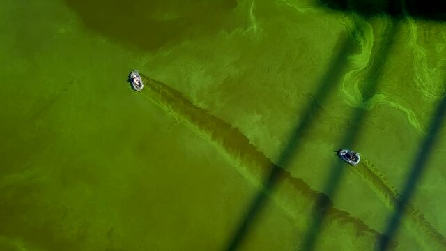 Aerial drone view. Two fishing boats in the shadow of the North Bridge in Kiev. Green blooming algae in the Dnieper river on a hot summer day.