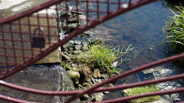 iron railings on the bridge