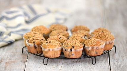 Homemade Blueberry Muffins for Breakfast on Cooling Rack.